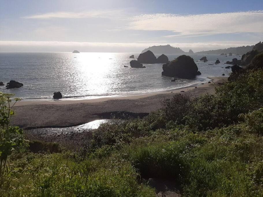 Ocean View Village Condo With Trails To Beaches Trinidad Ngoại thất bức ảnh